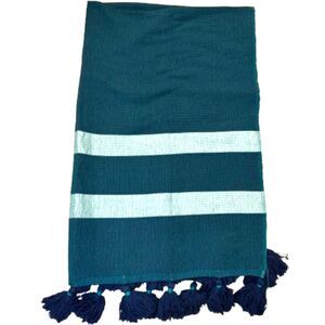 CB2 x Ross Cassidy Umi Teal Striped Throw Blanket Tassels Rare/Discontinued